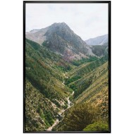 Репродукции  Репродукции  Природа - Картина в раме 11ПР
